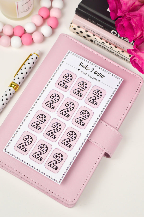 Kids 2 Euro Spaarchallenge (Roze)